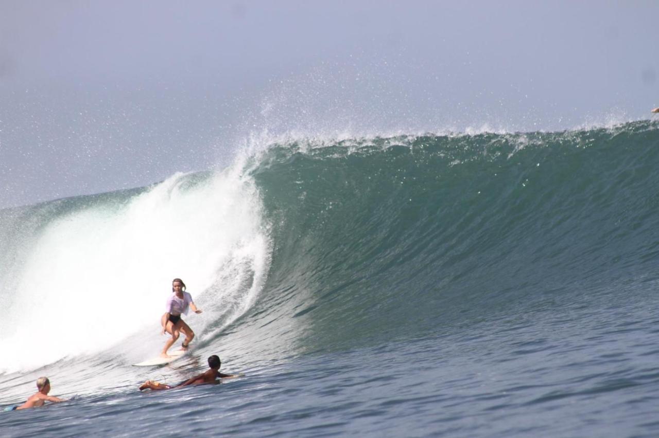 Hotel Medewi Secret Surfcamp Pulukan Exteriér fotografie